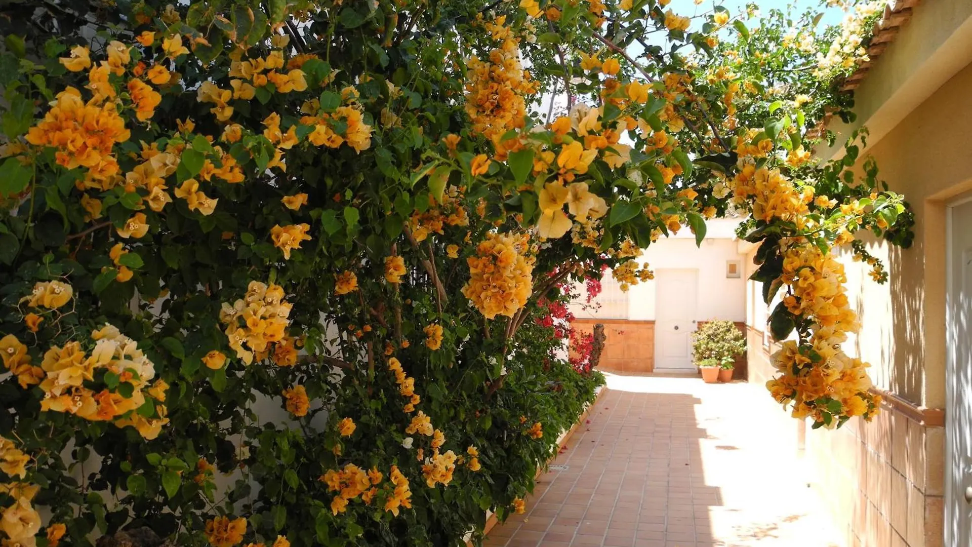 ** Maison d'hôtes Hostal Playa Punta Umbría Espagne